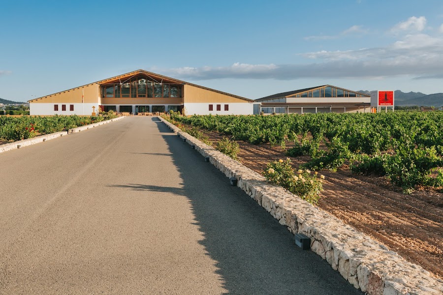 Bodegas Barahonda