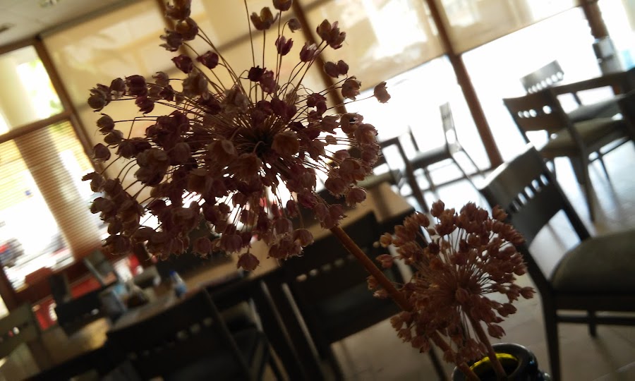 Cafetería Pórtico Café & Copas