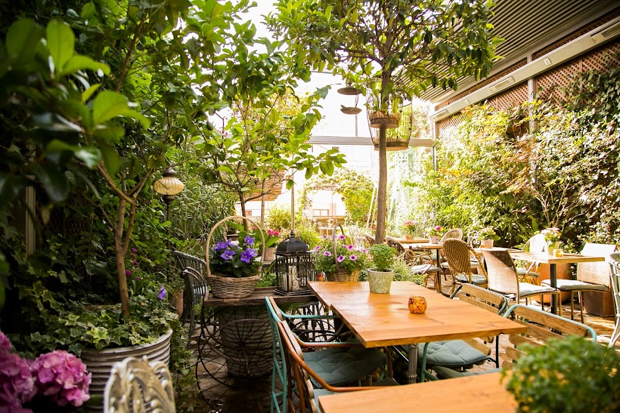 El Jardín de Salvador Bachiller