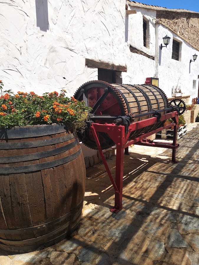 Restaurantes en El Hondón ciudad de Cartagena