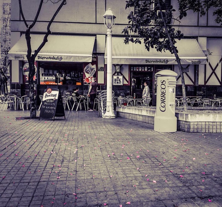 Cervecería Bierwinkel